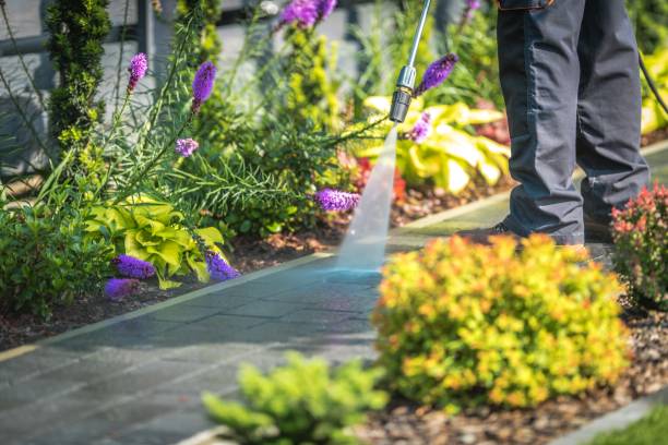 Best Fence Cleaning  in Lodi, NJ